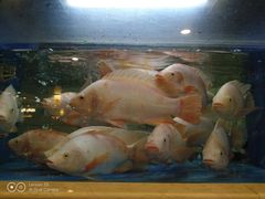 -围龙屋客家食府(福田店)