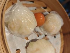 -点都德·毕德寮