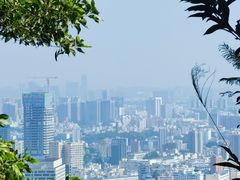 -阳台山森林公园