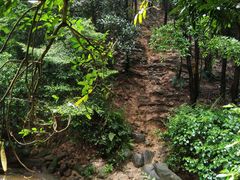 -火炉山森林公园