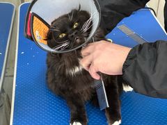 -心仪动物医院·牙专科·肿瘤·心脏科(西客站院)