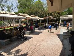iphone_upload_pic-吴淞炮台湾湿地森林公园烧烤区