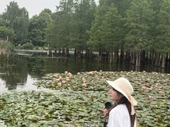-白鹭湾湿地公园