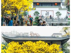 -光孝寺