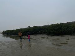 -北海金海湾红树林生态旅游区