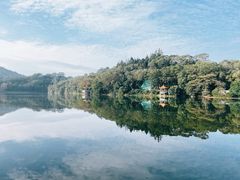 -深圳仙湖植物园