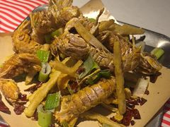 椒盐皮皮虾-永信海鲜(群星城店)