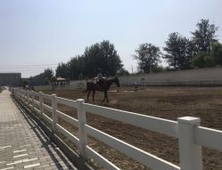 -飞鱼婚纱摄影(宏福大厦店)