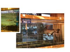 -大东方海鲜酒楼(小武基桥店)