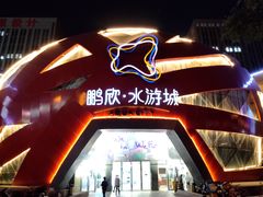 -鹏欣水游城
