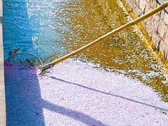 -洛阳市隋唐城遗址植物园