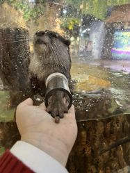 -Zoolung Zoolung动物主题公园(海信广场店)