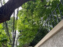 -徐家汇源景区-衡山公园