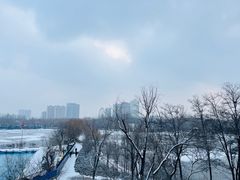 -青城公园