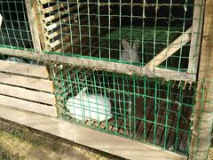 -明珠湖天鹅苑·农家菜馆