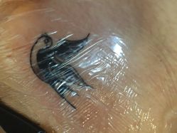 -Black Tattoo Studio