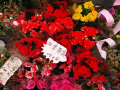 -花鸟鱼虫鲜花绿植市场(玉泉路店)