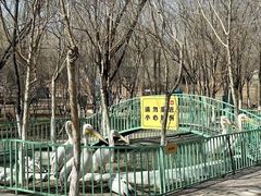 -水上乐园·欢乐世界