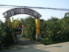 -三圣花乡旅游区