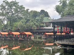 -侨美·唐荔园·40年地道粤菜