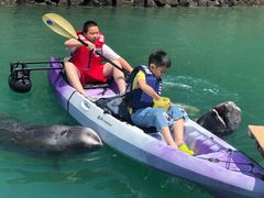 -南紀白浜 浜千鳥の湯 海舟
