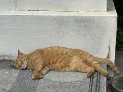 -上海市工艺美术博物馆