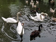 -长白岛森林公园