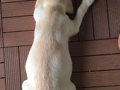 -佳雯宠物医院(四明中路分院)