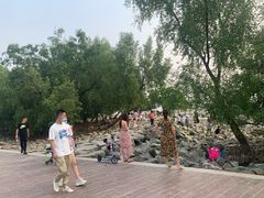 -宝安西湾红树林湿地公园