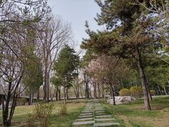 -晋祠公园
