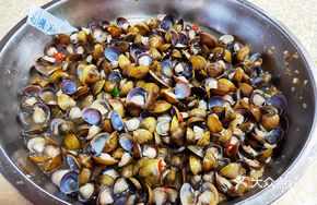 Plump Yellow Sand Clams