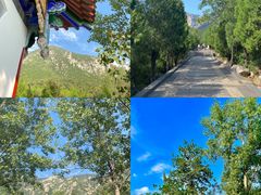 -禅宗少林·音乐大典