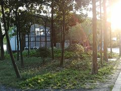 -昆山城市生态森林公园