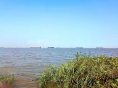 -吴淞炮台湾湿地森林公园烧烤区