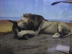 -国家自然博物馆