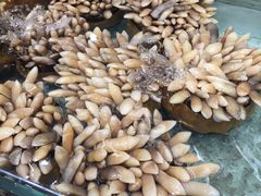 -盒马鲜生(财富中心店)