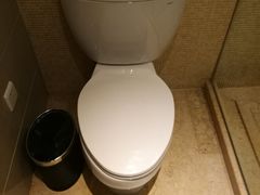 马桶-浙江大酒店