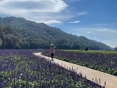 -广州市石门国家森林公园