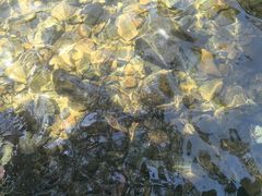 -青龙双河漂流