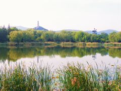 -北坞公园