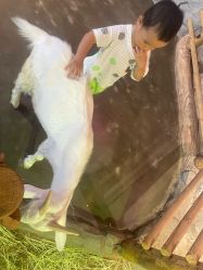 -Zoolung Zoolung动物主题公园(海信广场店)