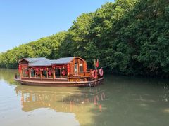 -大湾区中央湿地公园
