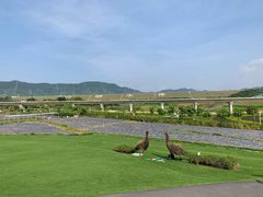 -光明小镇欢乐田园