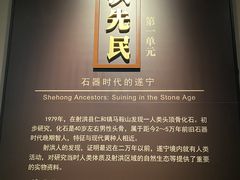 -四川宋瓷博物馆