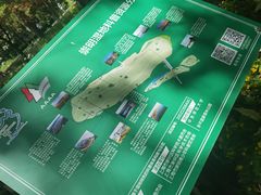 -东平国家森林公园