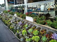 -野菌皇海景野生菌火锅(滨海大道店)