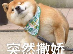 -CoCo都可(合生汇店)