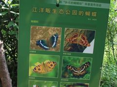 -西湖风景区-江洋畈生态公园