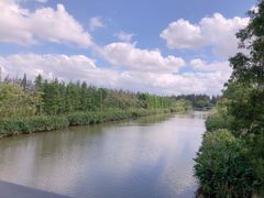 -上海长兴岛郊野公园