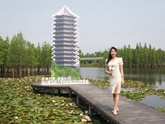 -白鹭湾湿地公园